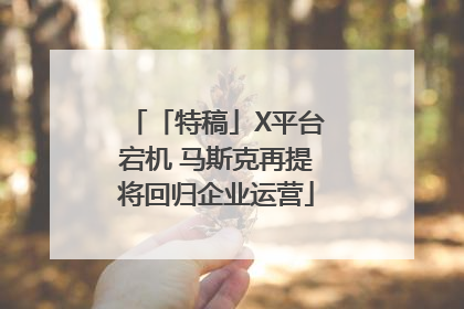 「特稿」X平台宕机 马斯克再提将回归企业运营