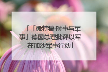 「微特稿·时事与军事」德国总理批评以军在加沙军事行动