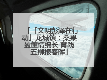 「文明彭泽在行动」龙城镇：桑果盈筐情绵长 育践五柳报春晖