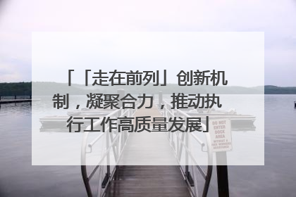 「走在前列」创新机制，凝聚合力，推动执行工作高质量发展