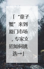 “童子蟹”来到厦门市场，专家支招如何挑选→