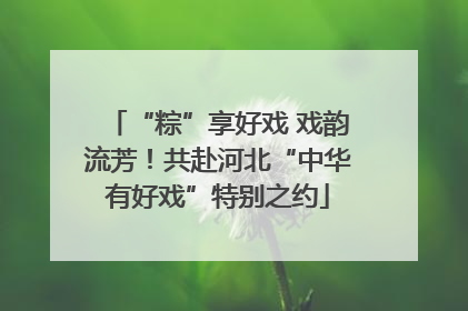 “粽”享好戏 戏韵流芳！共赴河北“中华有好戏”特别之约