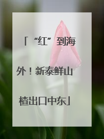 “红”到海外！新泰鲜山楂出口中东