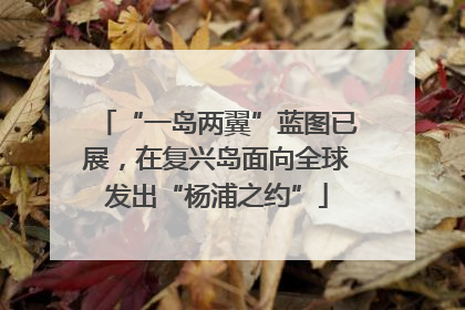 “一岛两翼”蓝图已展，在复兴岛面向全球发出“杨浦之约”