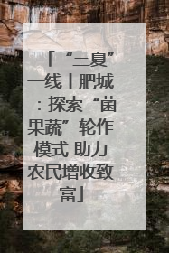 “三夏”一线丨肥城：探索“菌果蔬”轮作模式 助力农民增收致富