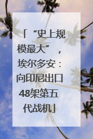 “史上规模最大”，埃尔多安：向印尼出口48架第五代战机