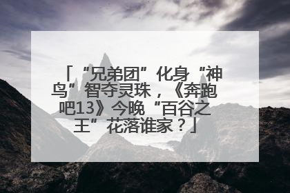 “兄弟团”化身“神鸟”智夺灵珠，《奔跑吧13》今晚“百谷之王”花落谁家？