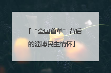 “全国首单”背后的淄博民生情怀