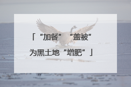 “加餐”“盖被” 为黑土地“增肥”