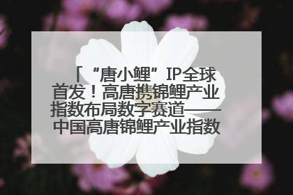 “唐小鲤”IP全球首发！高唐携锦鲤产业指数布局数字赛道——中国高唐锦鲤产业指数暨“唐小鲤”IP全球首发仪式在杭州举行