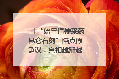 “始皇遣使采药昆仑石刻”陷真假争议：真相越辩越明｜新京报专栏