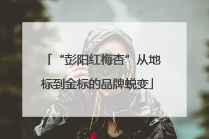 “彭阳红梅杏”从地标到金标的品牌蜕变