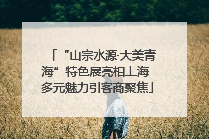 “山宗水源·大美青海”特色展亮相上海 多元魅力引客商聚焦