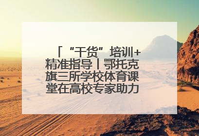 “干货”培训+精准指导丨鄂托克旗三所学校体育课堂在高校专家助力下“提质增效”