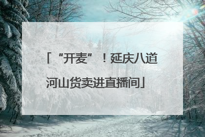 “开麦”！延庆八道河山货卖进直播间