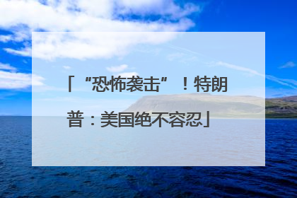“恐怖袭击”！特朗普：美国绝不容忍
