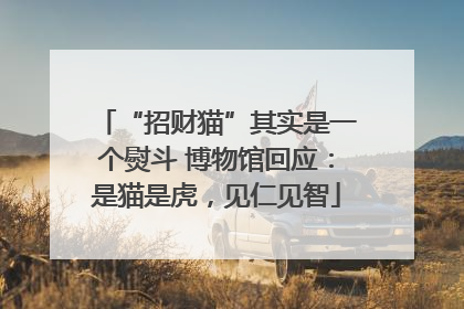“招财猫”其实是一个熨斗 博物馆回应：是猫是虎，见仁见智