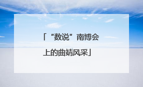 “数说”南博会上的曲靖风采