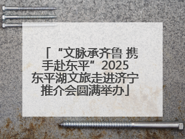 “文脉承齐鲁 携手赴东平”2025东平湖文旅走进济宁推介会圆满举办