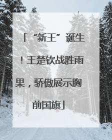 “新王”诞生！王楚钦战胜雨果，骄傲展示胸前国旗
