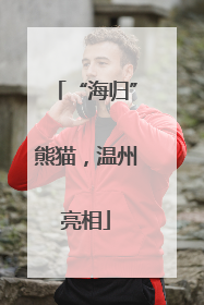 “海归”熊猫，温州亮相