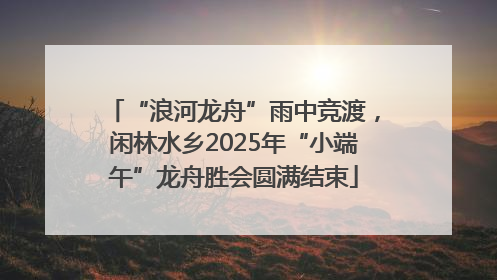 “浪河龙舟”雨中竞渡，闲林水乡2025年“小端午”龙舟胜会圆满结束