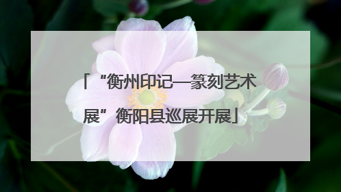 “衡州印记—篆刻艺术展”衡阳县巡展开展