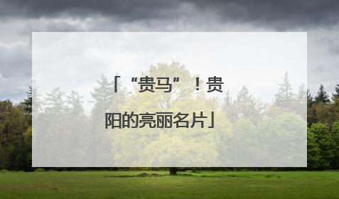 “贵马”！贵阳的亮丽名片