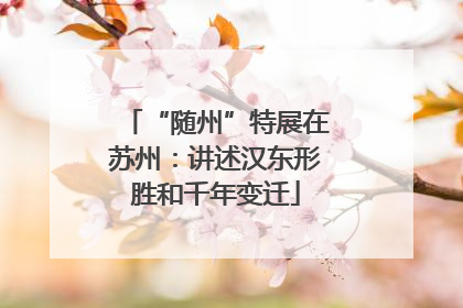 “随州”特展在苏州：讲述汉东形胜和千年变迁