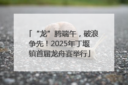 “龙”腾端午，破浪争先！2025年丁堰镇首届龙舟赛举行