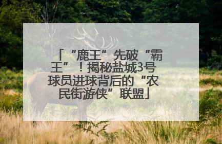 “鹿王”先破“霸王”！揭秘盐城3号球员进球背后的“农民街游侠”联盟