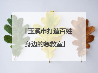 玉溪市打造百姓身边的急救室
