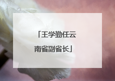 王学勤任云南省副省长
