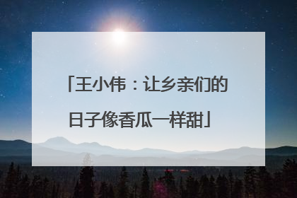 王小伟：让乡亲们的日子像香瓜一样甜