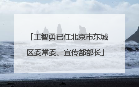王智勇已任北京市东城区委常委、宣传部部长