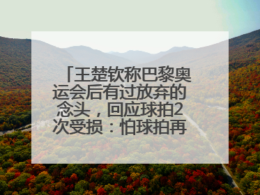 王楚钦称巴黎奥运会后有过放弃的念头，回应球拍2次受损：怕球拍再坏用副板练习