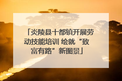 炎陵县十都镇开展劳动技能培训 绘就“致富有路”新图景