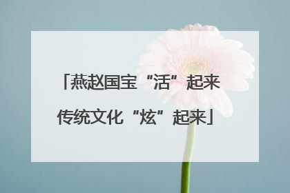 燕赵国宝“活”起来 传统文化“炫”起来