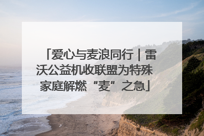 爱心与麦浪同行｜雷沃公益机收联盟为特殊家庭解燃“麦”之急