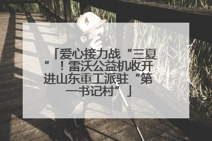 爱心接力战“三夏”！雷沃公益机收开进山东重工派驻“第一书记村”