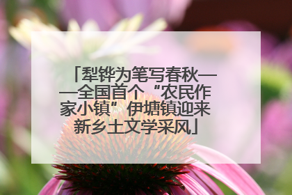 犁铧为笔写春秋——全国首个“农民作家小镇”伊塘镇迎来新乡土文学采风