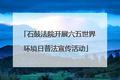 石鼓法院开展六五世界环境日普法宣传活动