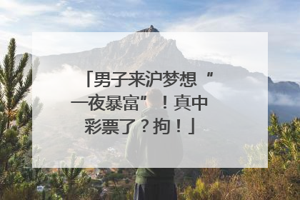 男子来沪梦想“一夜暴富”！真中彩票了？拘！