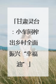 甘肃灵台：小车间榨出乡村全面振兴“幸福油”
