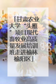 甘肃农业大学“头雁”项目现代畜牧业高质量发展培训班走进榆林榆阳区