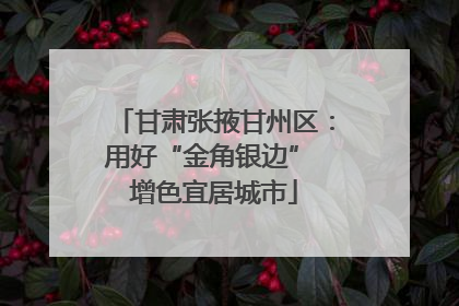 甘肃张掖甘州区：用好“金角银边” 增色宜居城市
