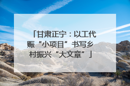 甘肃正宁：以工代赈“小项目”书写乡村振兴“大文章”