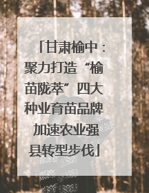 甘肃榆中：聚力打造“榆苗陇萃”四大种业育苗品牌 加速农业强县转型步伐