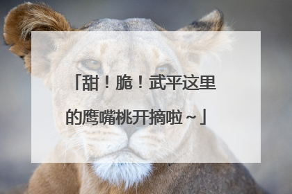 甜！脆！武平这里的鹰嘴桃开摘啦～