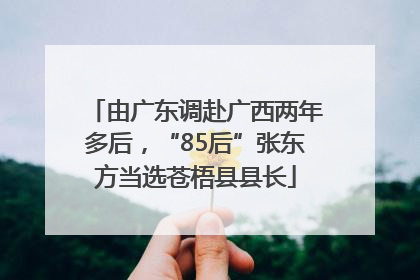 由广东调赴广西两年多后，“85后”张东方当选苍梧县县长
